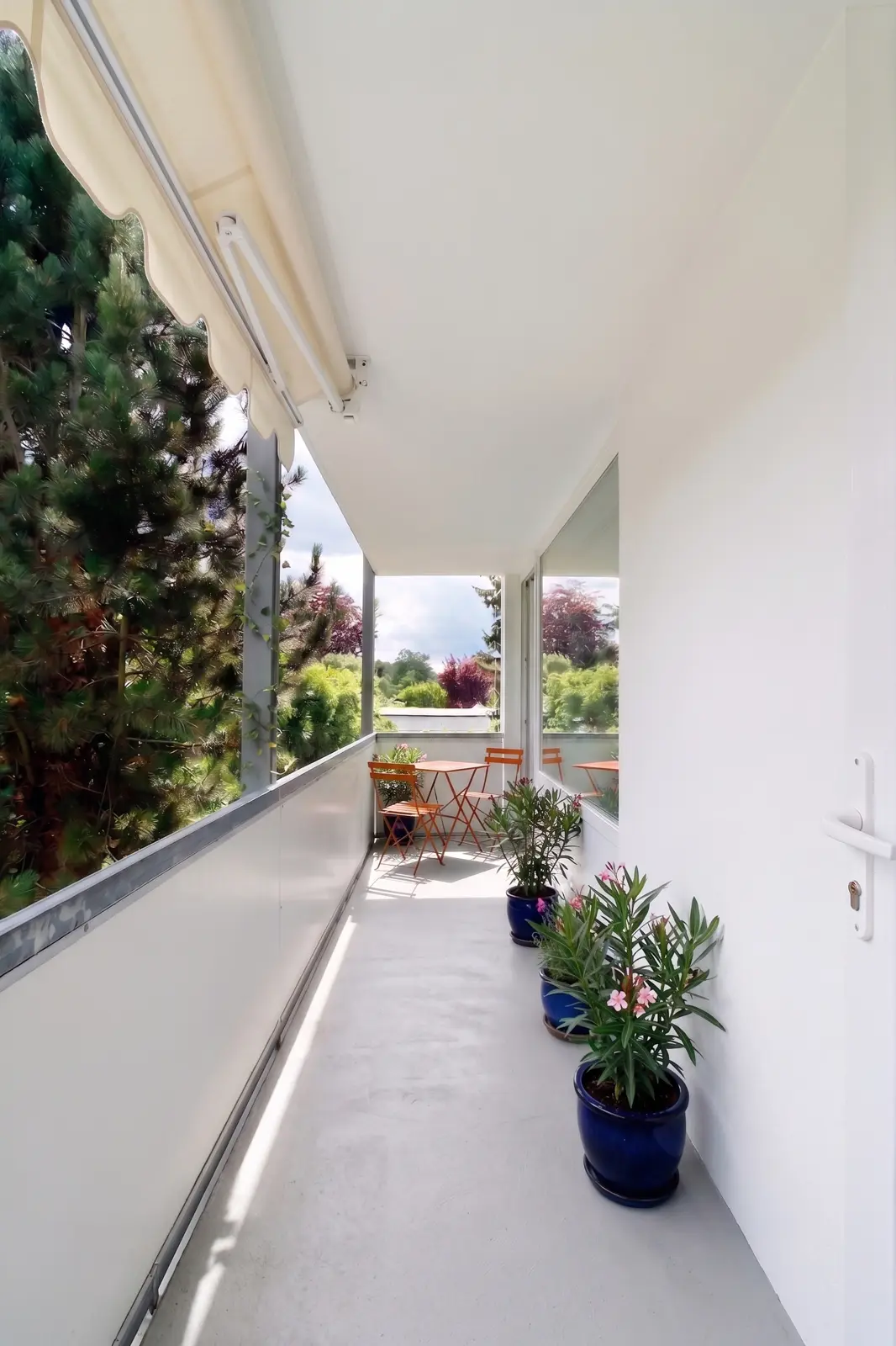 Ein schmaler Balkon mit einem kleinen Tisch und zwei Stühlen, Topfpflanzen in blauen Töpfen und einem Blick auf das Grün und die Bäume draußen.